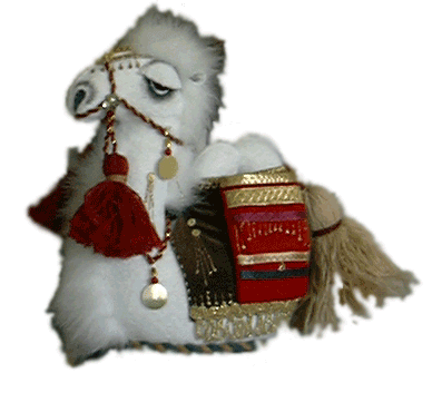Kazakhstani Camel